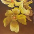 Pour quelques fleurs